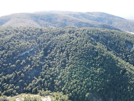 Santa Magdalena de Pulpis